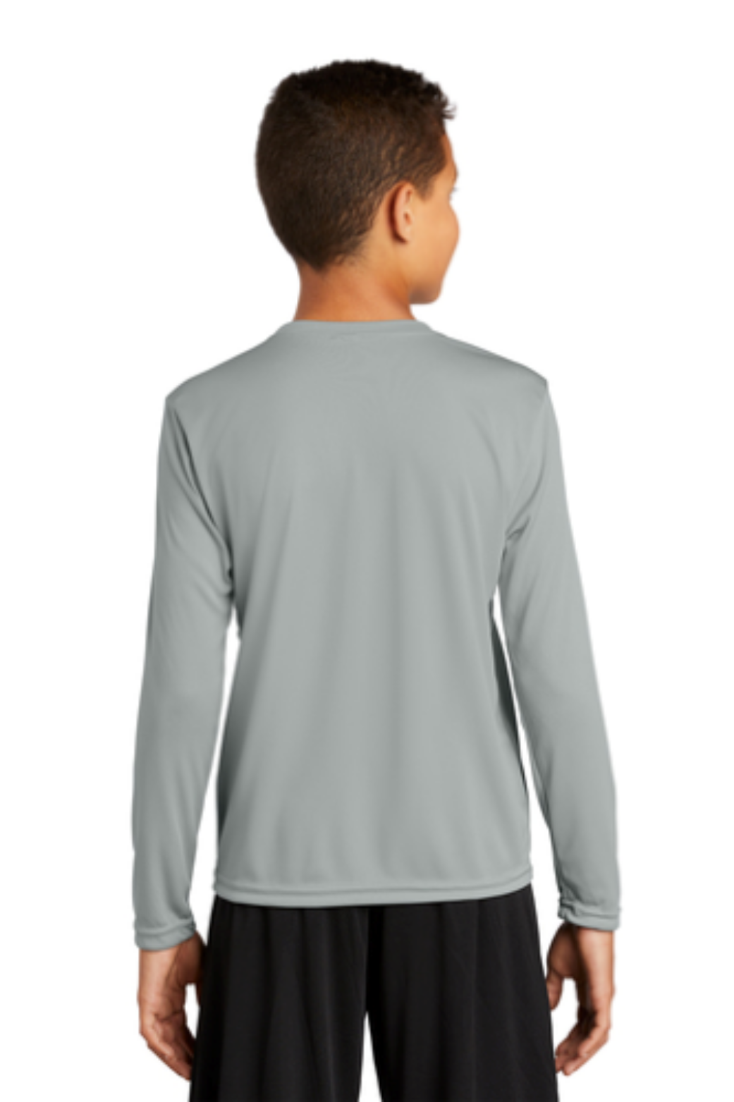 Silver - back