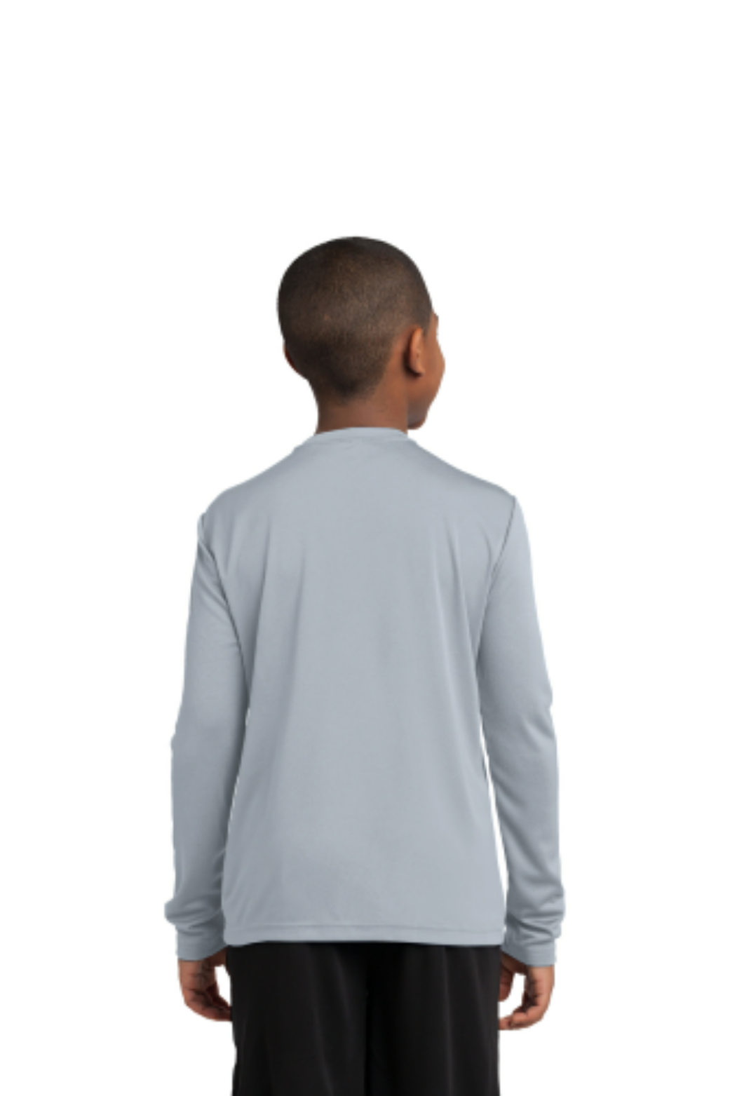 Silver - back