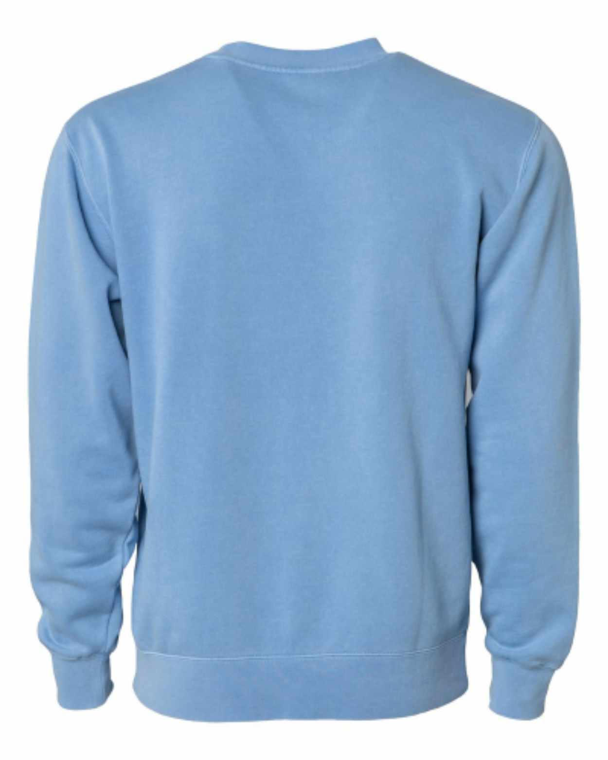 Pigment Light Blue - back