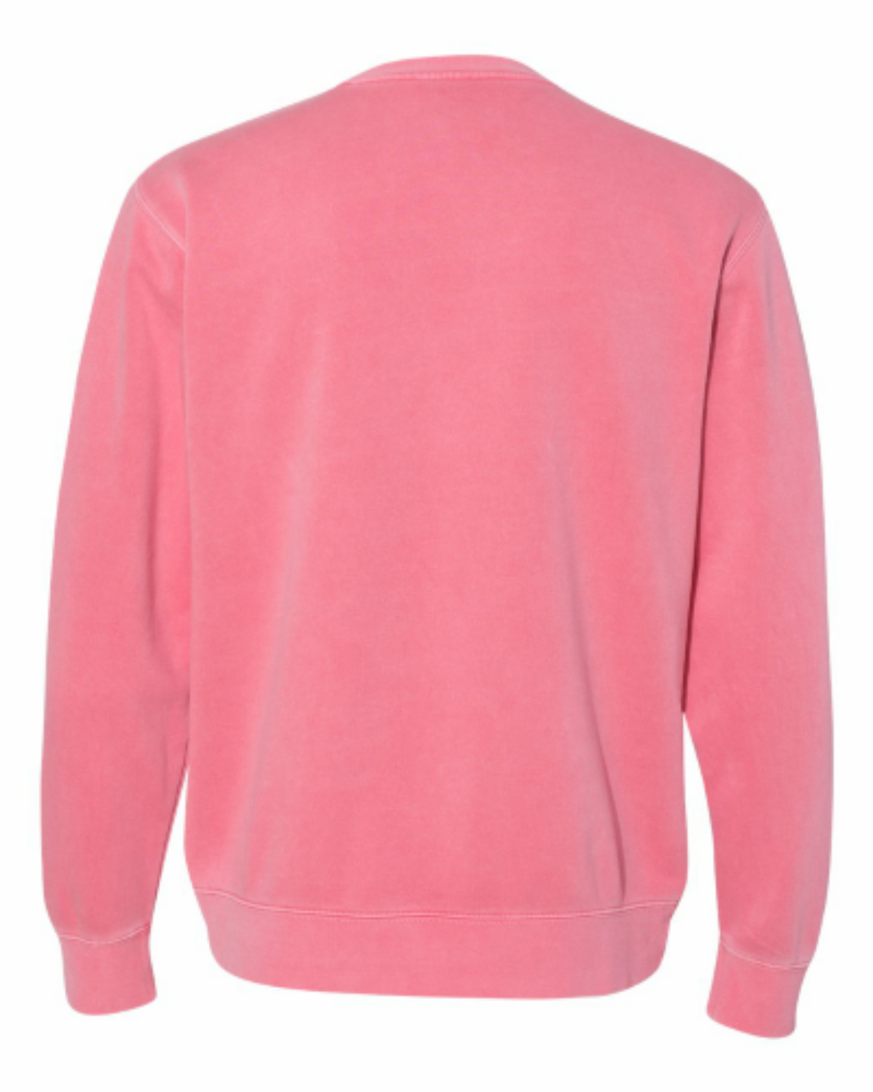 Pigment Pink - back