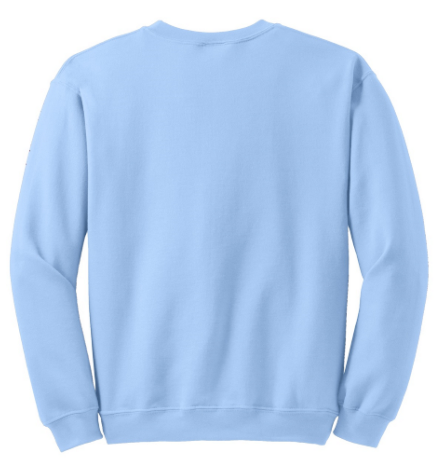 Light Blue - back