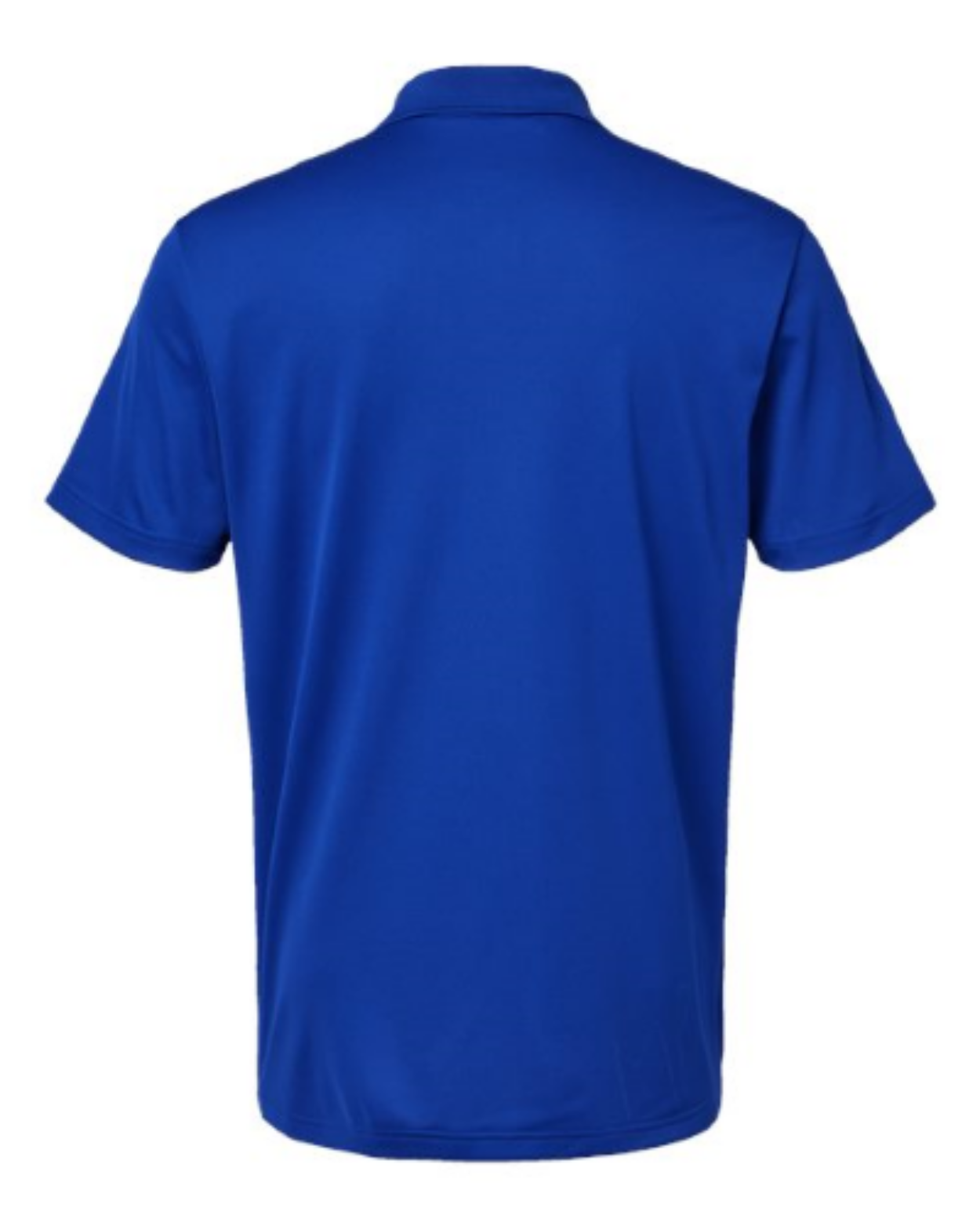 Collegiate Royal - back