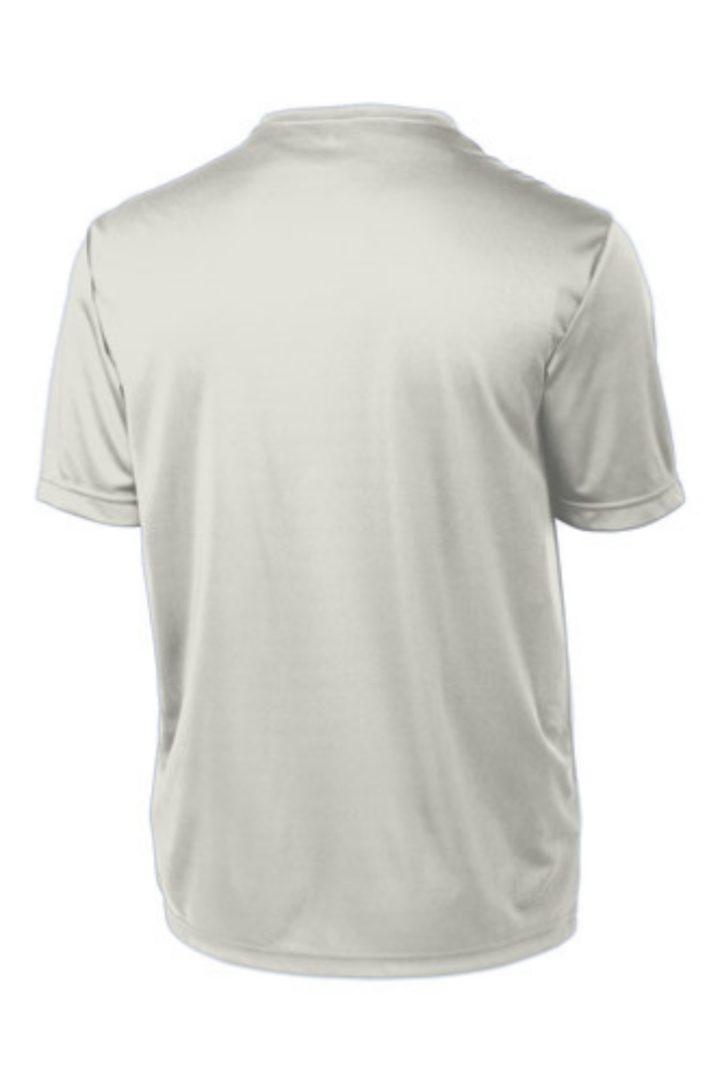 Silver - back
